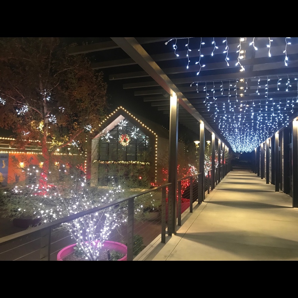 Meet your Posher, Eva